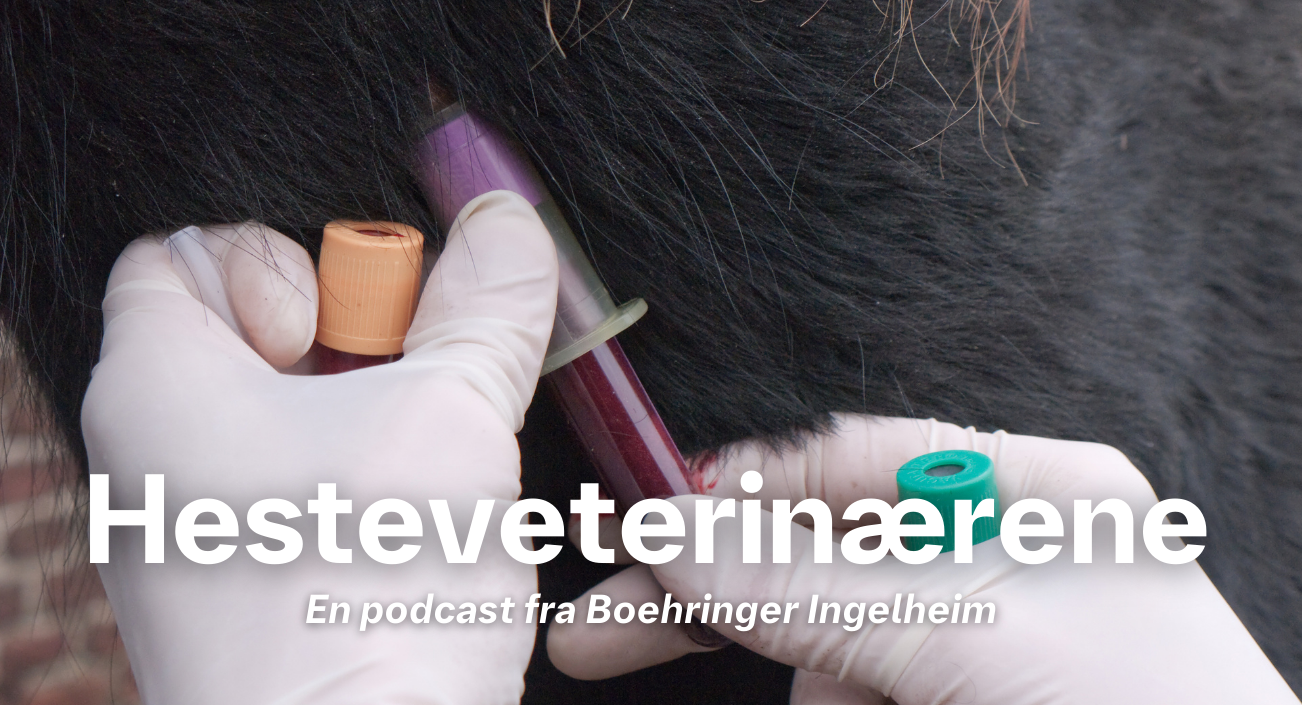 Hesteveterinærerna