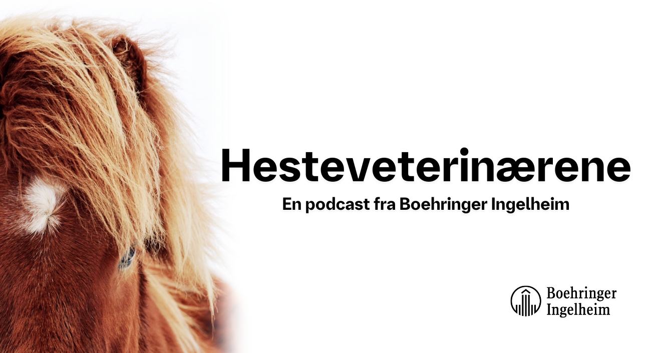 Hesteveterinærerna