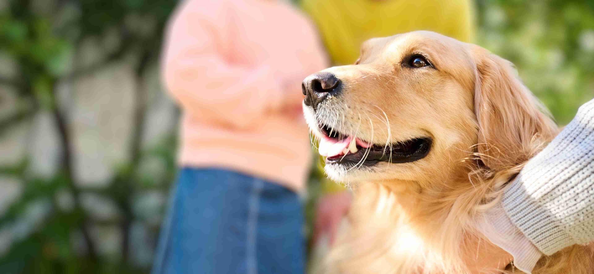 Velkommen til Vetportal