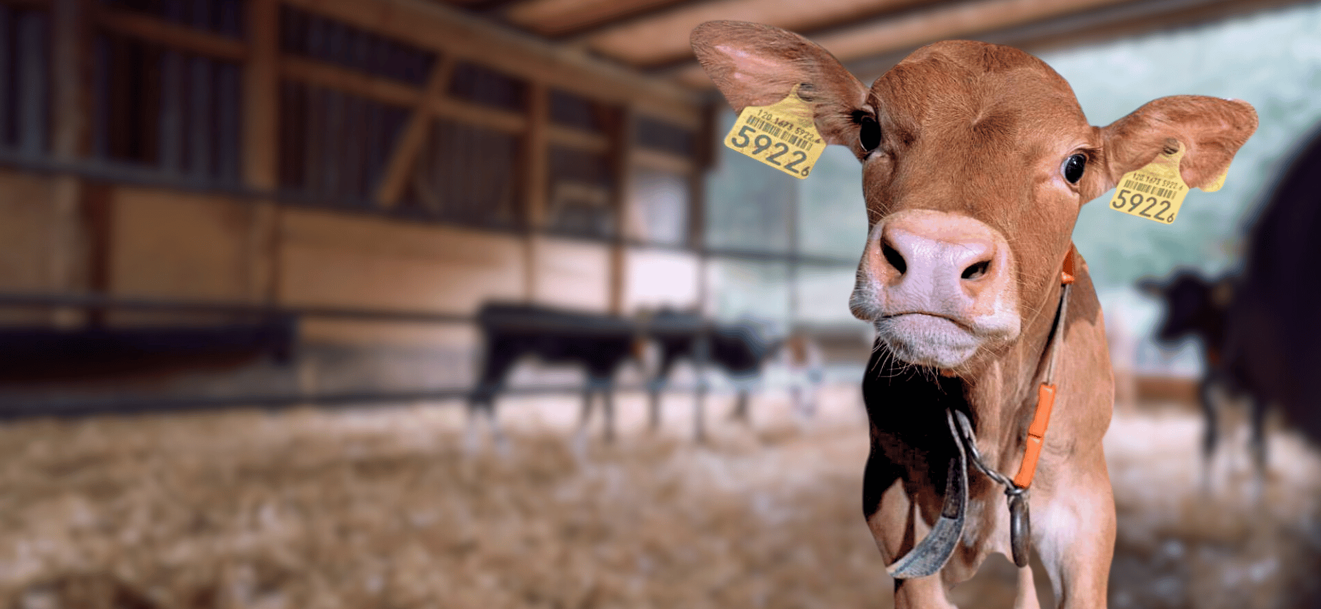 Velkommen til Vetportal