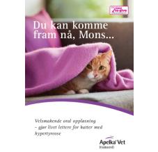 Du kan komme fram nå, Mons...