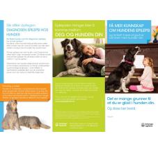 Få mer kunnskap om hundens epilepsi