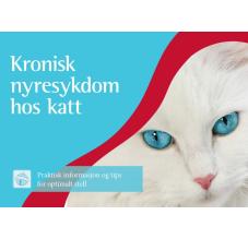 Kronisk nyresykdom hos katt