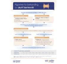 Algoritme for behandling av akutt hjertesvikt