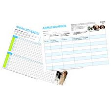 Anfallsdagbok og anfallsoversikt