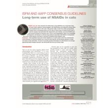 Long term use of NSAIDs in cats