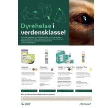 NCC one pager - norsk