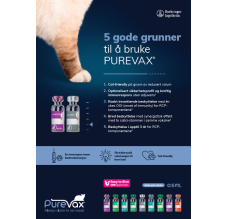 Purevax Onepager - 5 gode grunner