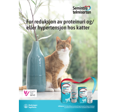 Semintra veterinær brosjyre katt