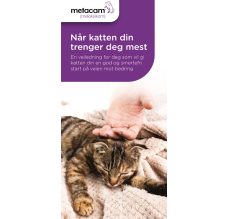 Metacam Brochure Katt NO