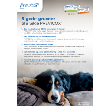 Previcox One Pager Dog NO