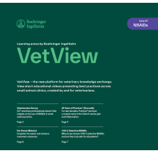 VetView