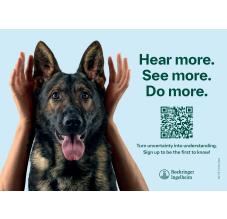 Caninebeat Postkort 3