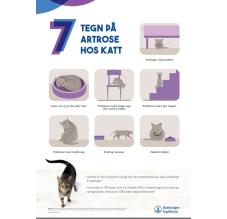 7 tegn på artrose hos KATT - 50x70 cm (A-skilt)