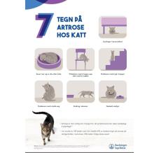 7 tegn på artrose hos KATT - A3