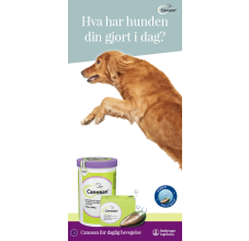 Canosan - Hva har hunden din gjort i dag?