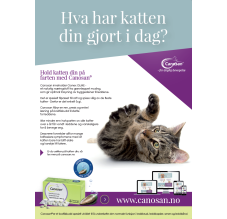 Canosan Poster: Hva har katten din gjort i dag?