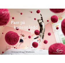 Pass på kattens ledd