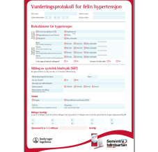 Blodtrykksskjema til katt