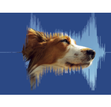 Vetmedin Startpakke Pakket