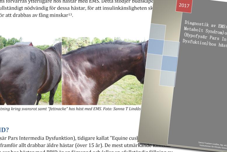 Bilde-av-artikkel-om-EMS-og-PPID