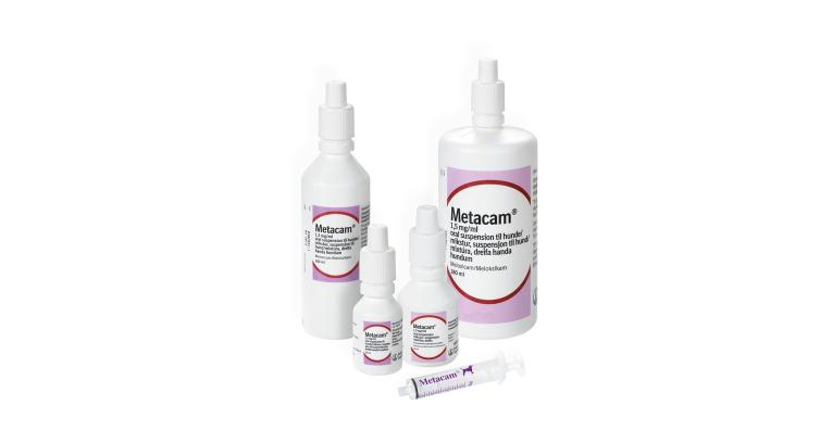 Metacam Oral supension til hund