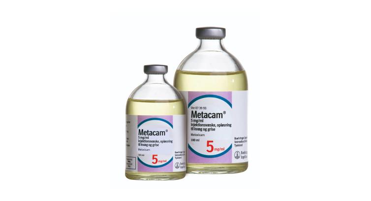 Metacam til storfe og gris