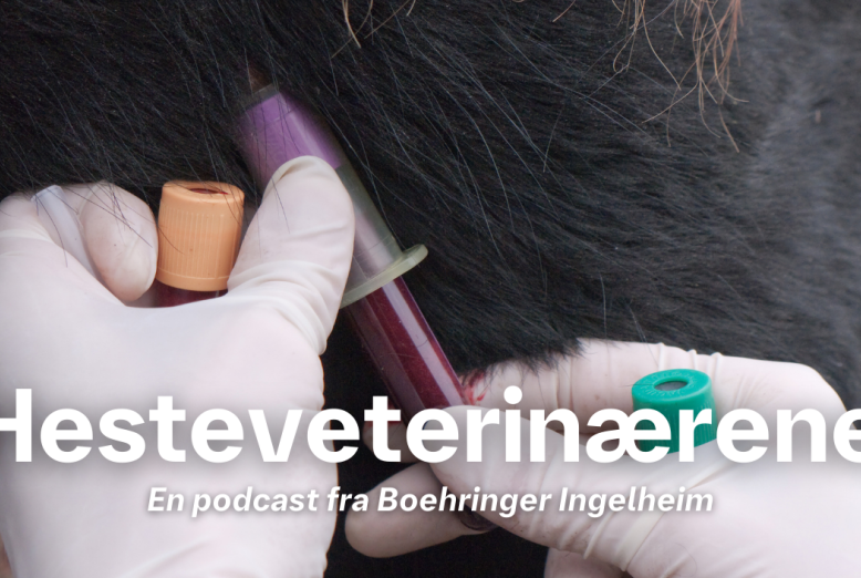 Hesteveterinærerna