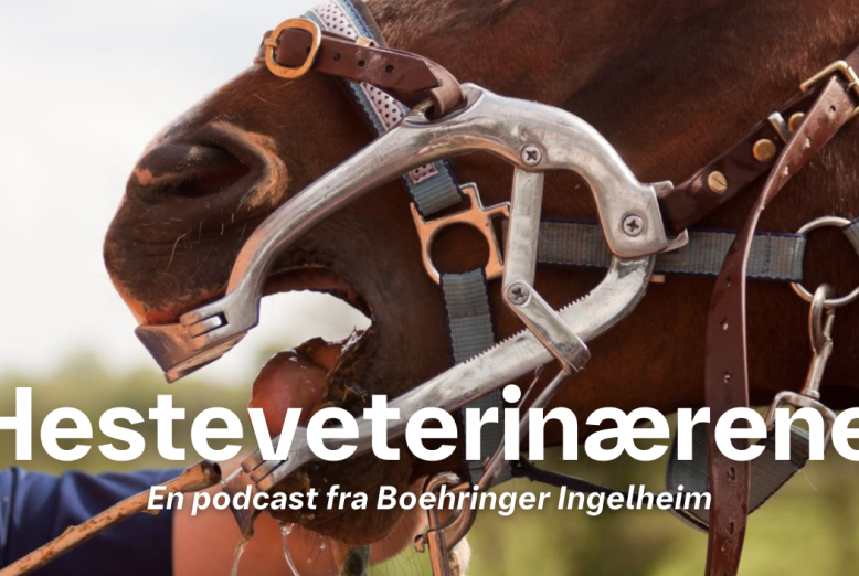 Hesteveterinærerna