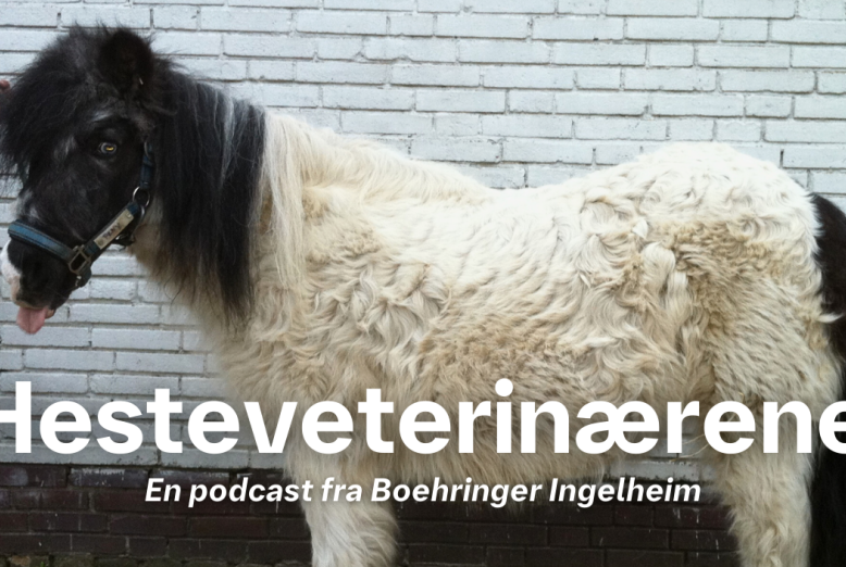 Hesteveterinærerna NO