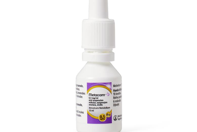 Metacam til katt og marsvin mikstur