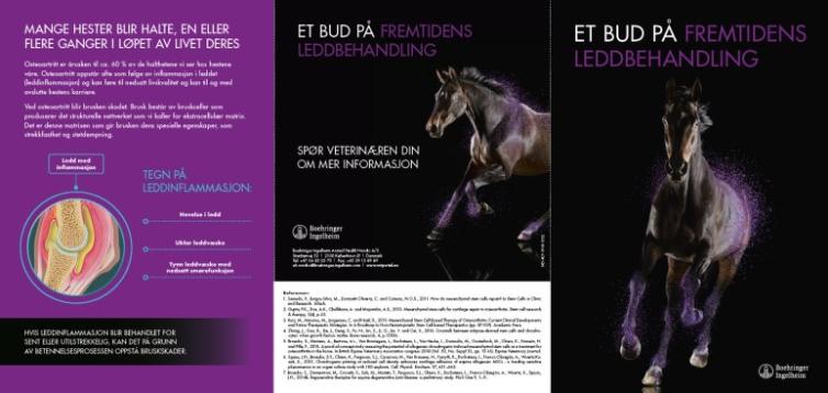 Et bud på fremtidens leddbehandling