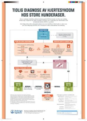 Tidlig diagnose av hjertesykdom hos store hundraser