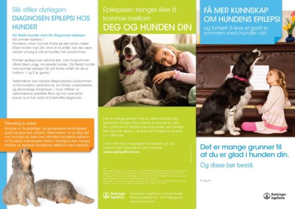 Få mer kunnskap om hundens epilepsi