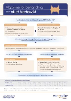 Algoritme for behandling av akutt hjertesvikt