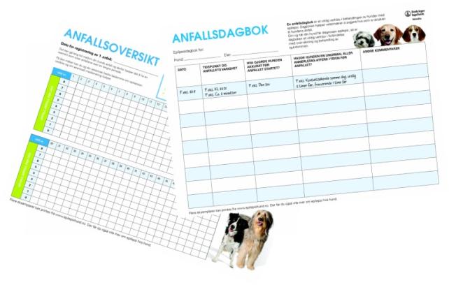 Anfallsdagbok og anfallsoversikt