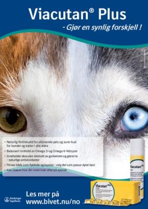 Viacutan Plus Poster - Gjør en synlig forskjell