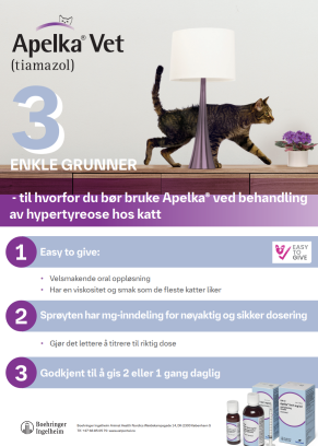 Apelka 3 enkle grunner Onepager NO