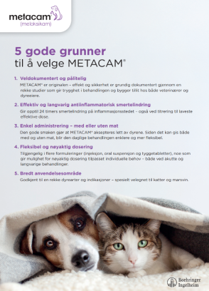 Metacam Dog & Cat NO