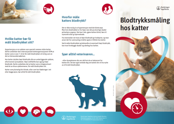 Semintra blodtrykksmåling - Forside