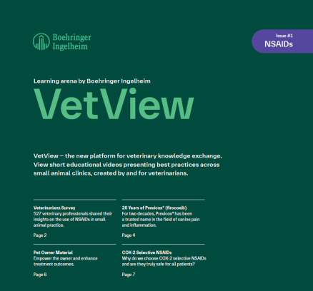 VetView