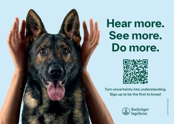 Caninebeat Postkort 3