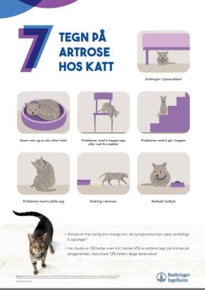 7 tegn på artrose hos KATT - 50x70 cm (A-skilt)