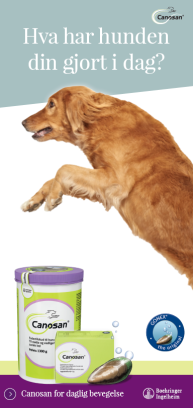 Canosan - Hva har hunden din gjort i dag?