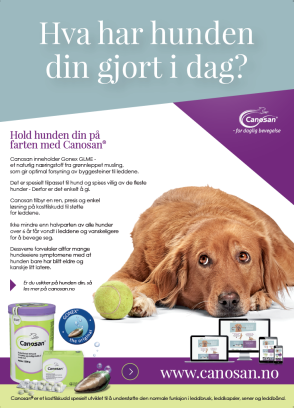 Canosan Poster: Hva har hunden din gjort i dag?