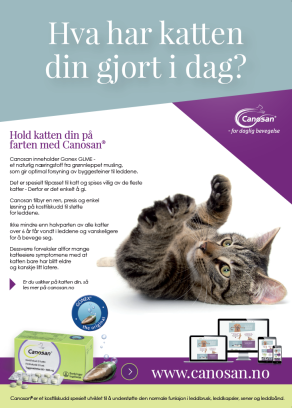 Canosan Poster: Hva har katten din gjort i dag?
