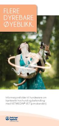 Flere dyrebare øyeblikk