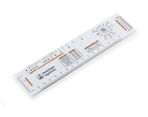 EKG lineal/linjal til hund